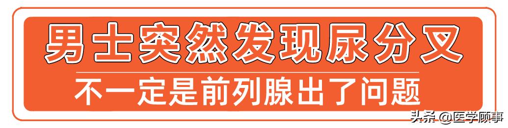 尿分叉尿流变细是怎么回事,尿分叉和尿次数多是什么原因