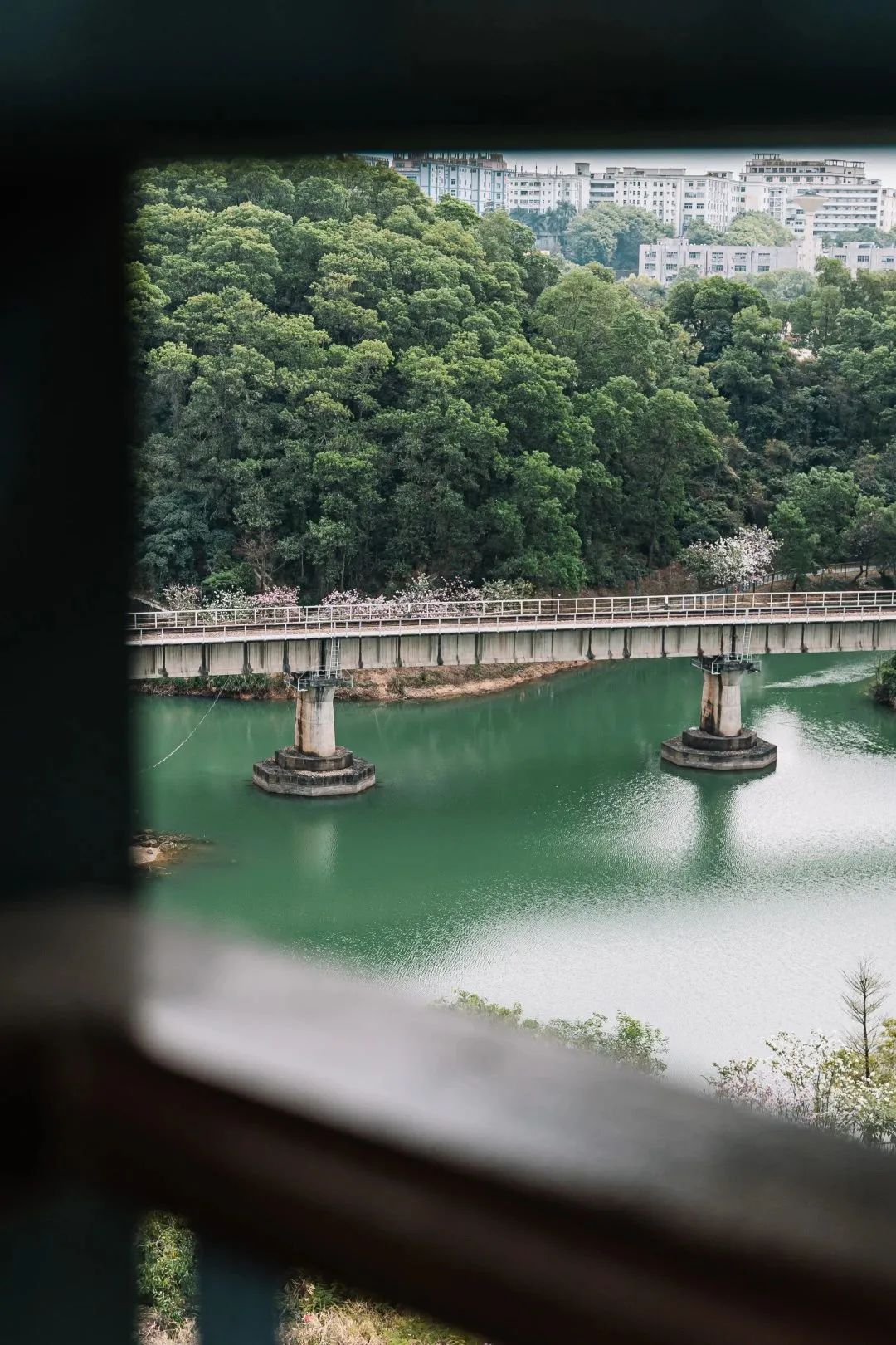 香港代购是怎样赚钱的,香港帮别人代购物品犯法吗