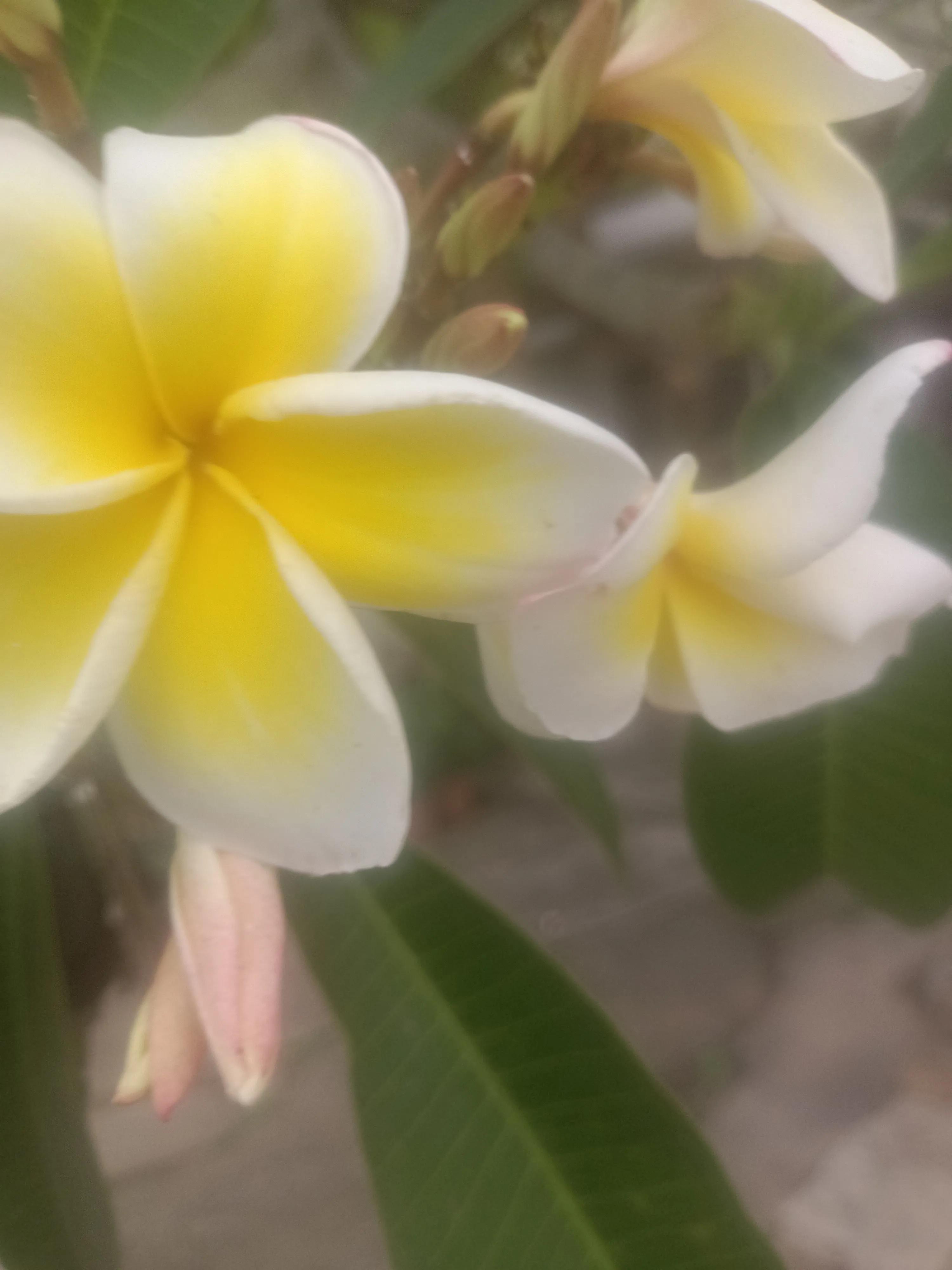 天下奇闻在线阅读,天下奇闻讲解