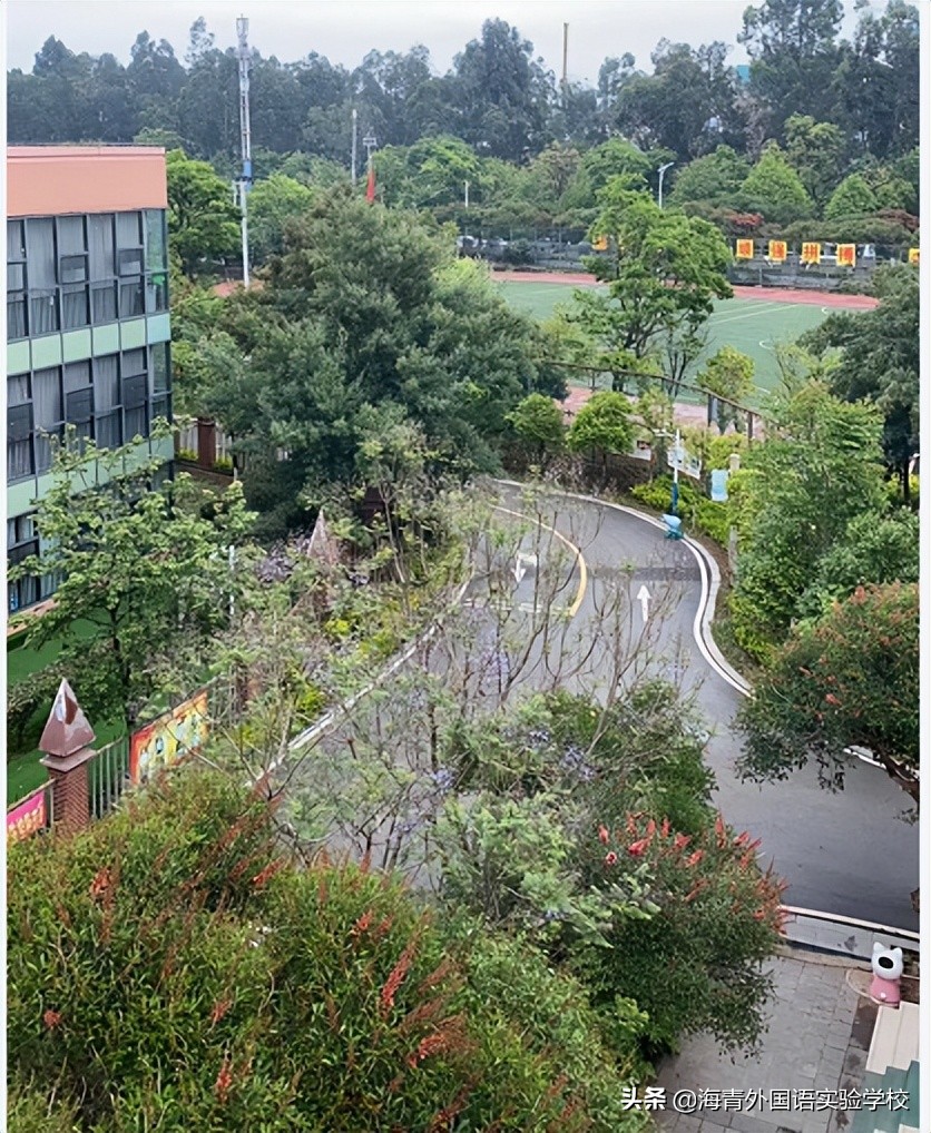 海青外国语实验学校小升初,海青外国语实验学校初中部怎么样