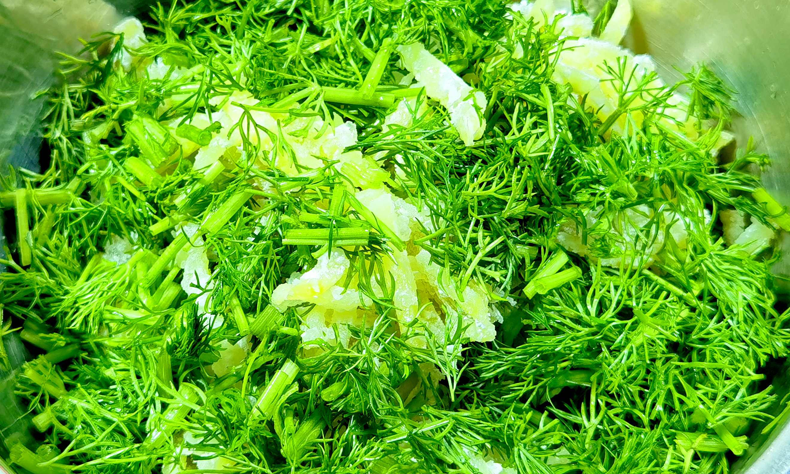 清补脾胃的50种蔬菜,老人健脾胃最快最好的食物