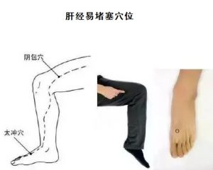 十二经络足阳明胃经穴位走向,胃部经络最易堵塞三个穴位