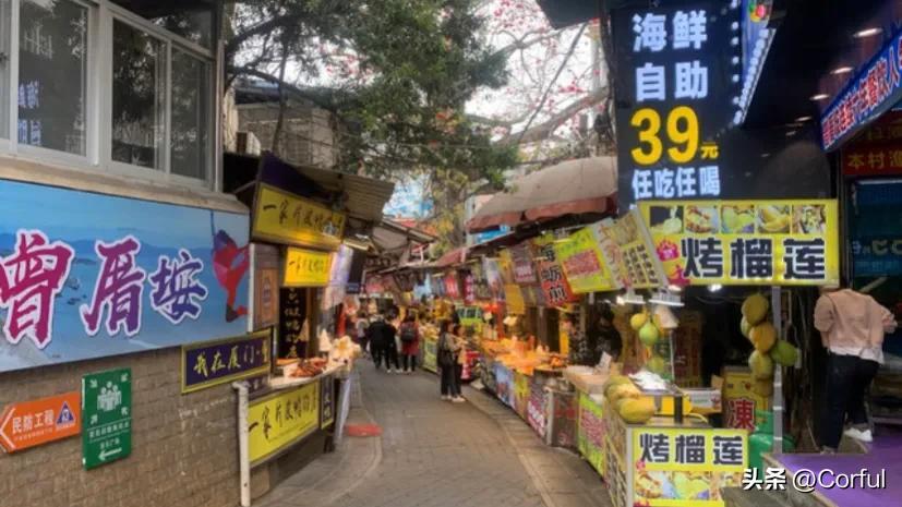 去厦门旅游攻略自由行三天两夜,厦门5日游行程攻略