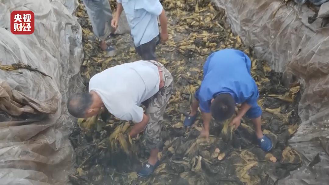 看了315晚会感受,看315晚会感受