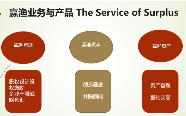 a股上市公司分拆上市流程,七种分拆上市条件