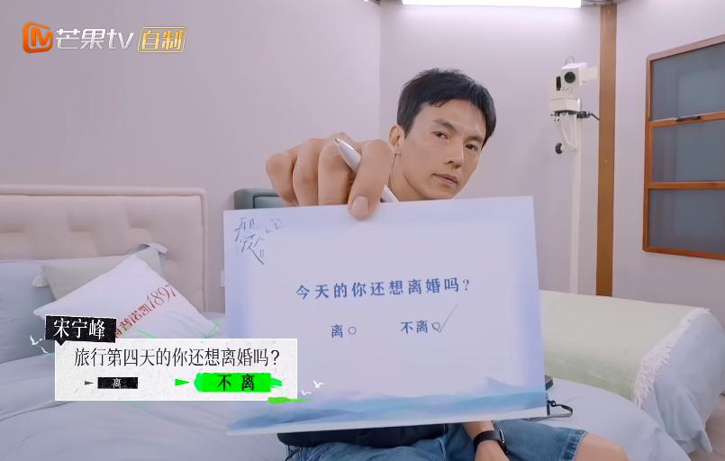 张婉婷宋宁峰最终结果,宋宁峰张婉婷细节分析