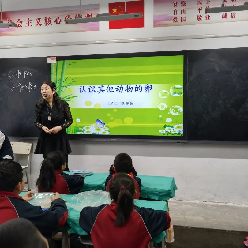 骨干教师示范引领个人工作总结,省市区优秀教师示范引领