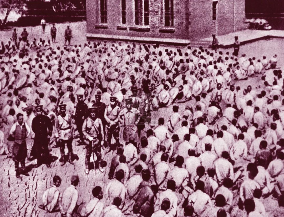 城市大战,济南和青岛比谁实力强