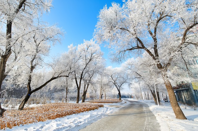 广西南宁市2021副高职称评审结果,广西医学副高评审通过率高吗