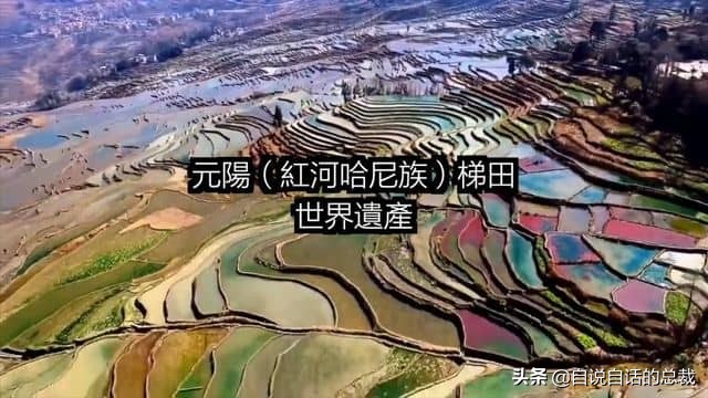 龙虾青龙和花龙区别,龙虾也是生物为什么我们要吃它