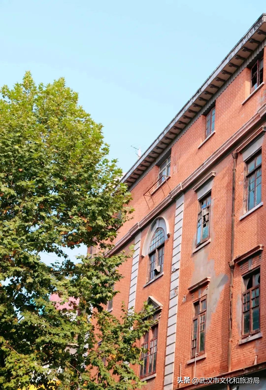 叮！毕业旅行指南已送达，玩转武汉！