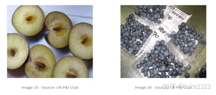 海运货物破损,海运货损原因有什么