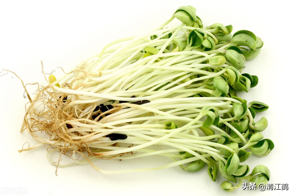 做豆腐和生豆芽哪个更赚钱,豆芽高产的秘诀