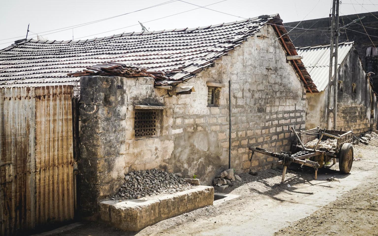 印度是大米第一出口国吗,印度为什么能成为大米出口国