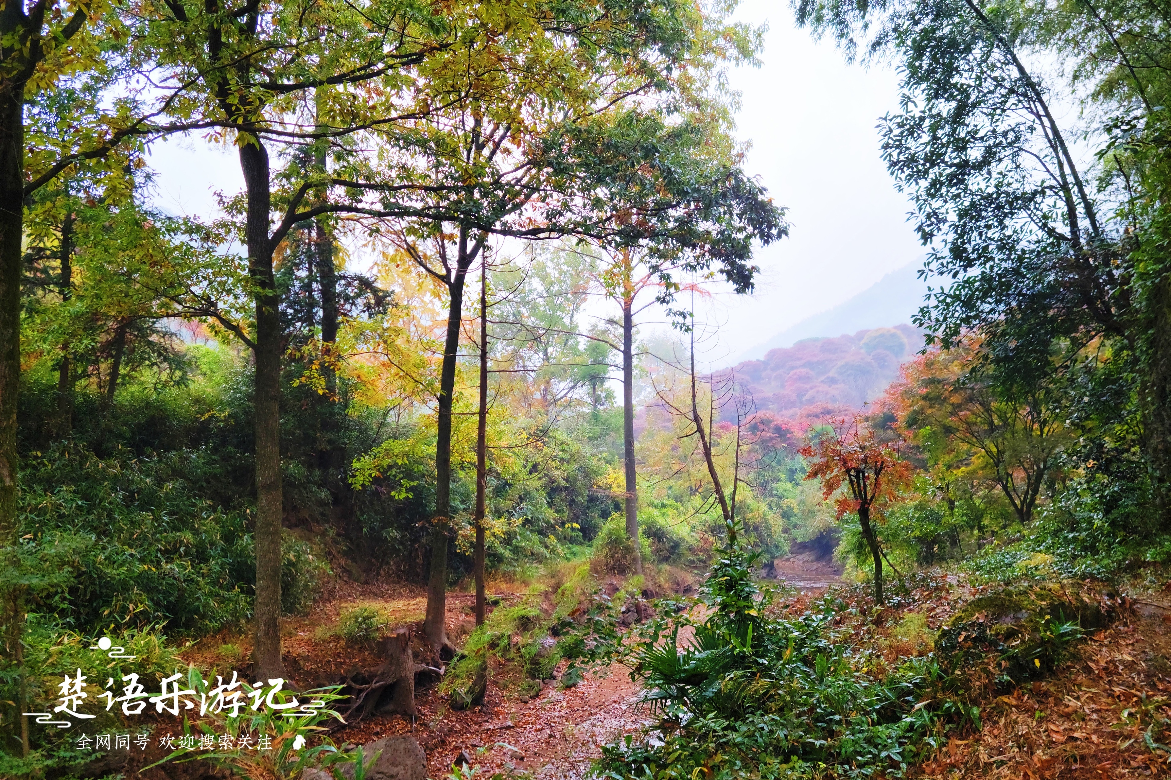 浙江宁波发现一处避世桃源，名字充满传说，景色如画堪称游玩佳地