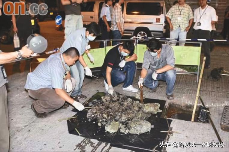 花季少女惨遭分尸案,16岁女孩被分尸15年才破案