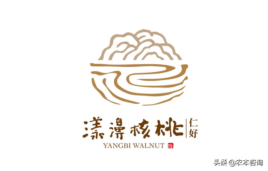 漾濞县核桃产业,漾濞核桃多样性