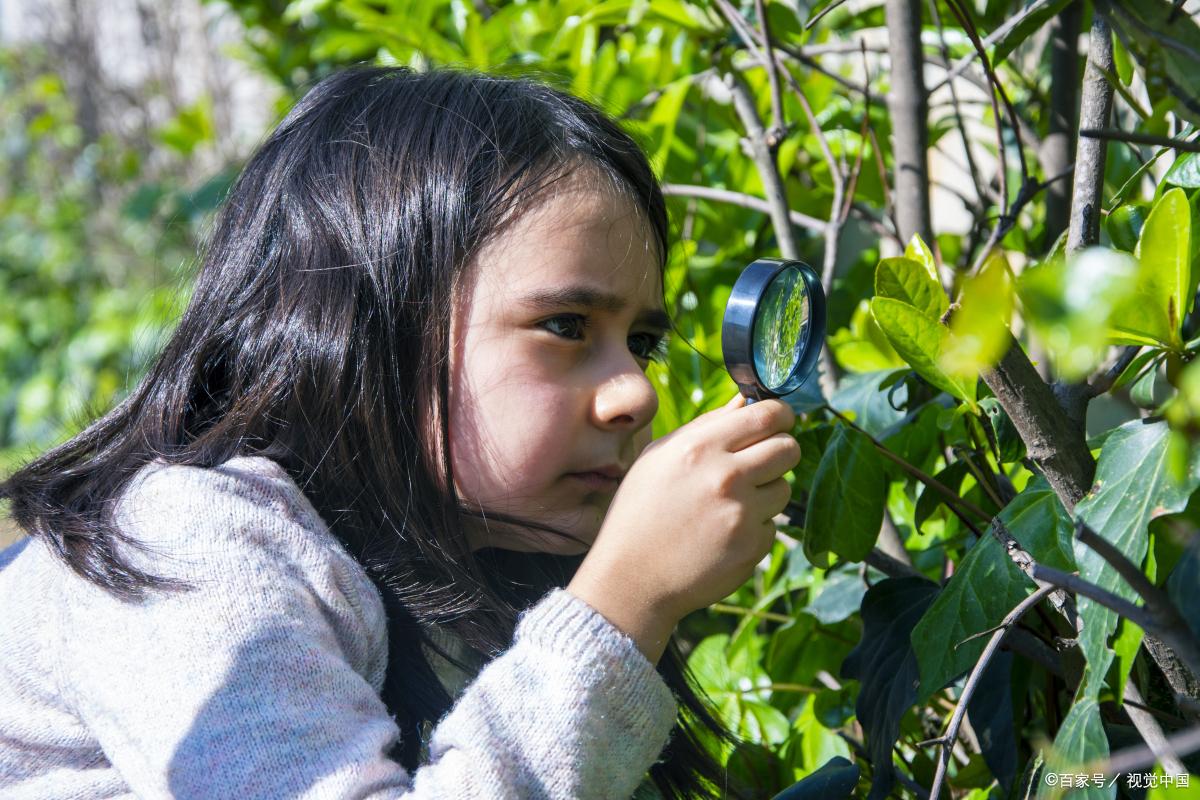 冬季阳台花卉养殖方法和技巧,简单阳台种菜自动浇水可行吗