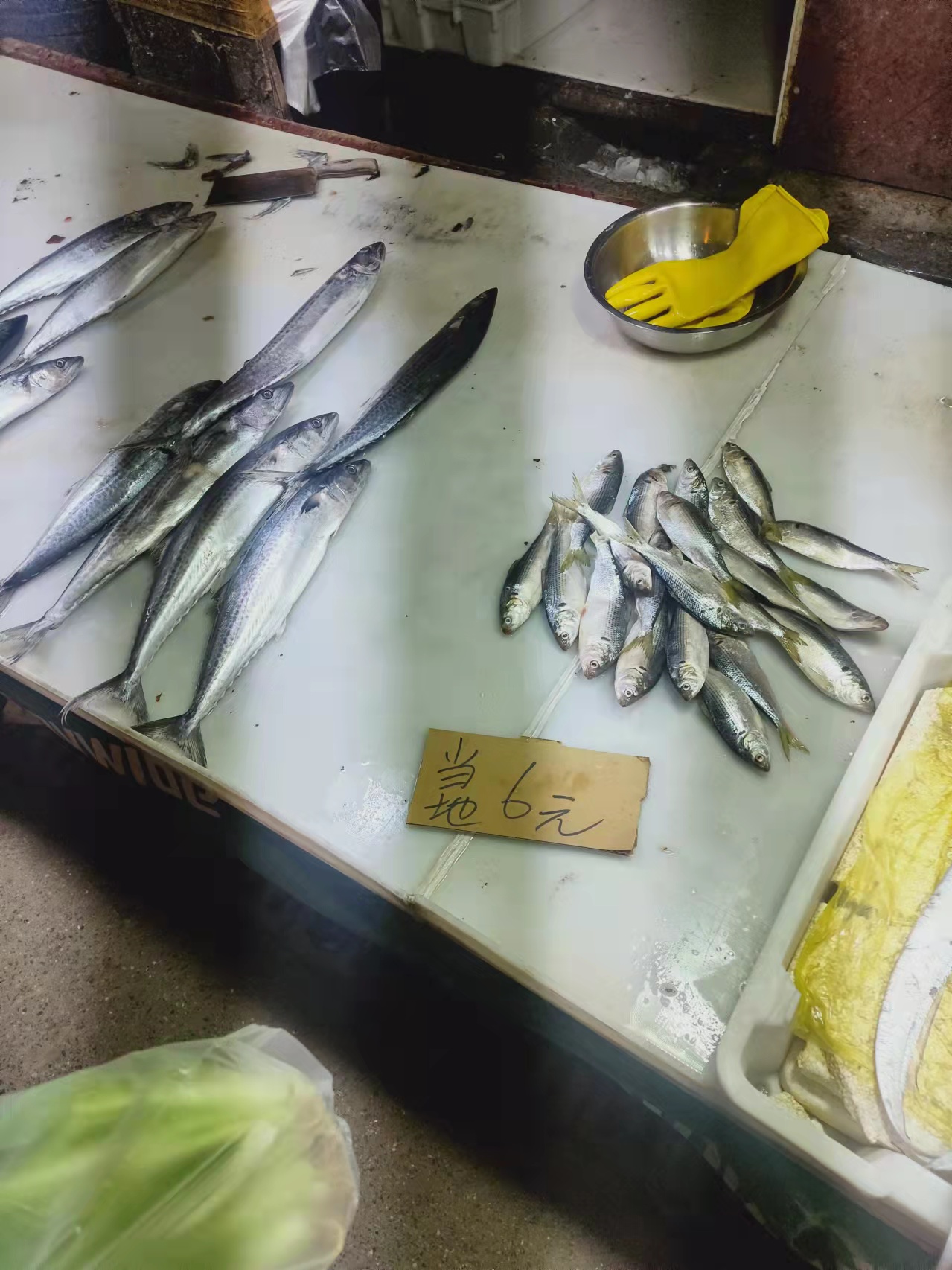 大连海岸现在钓什么鱼,大连熟食品批发市场有哪些好吃的