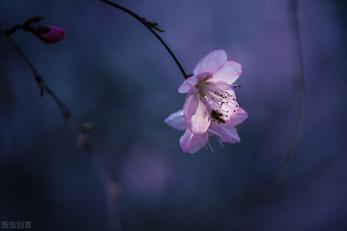 一个人醉酒的文案,醉酒文案短句朋友圈