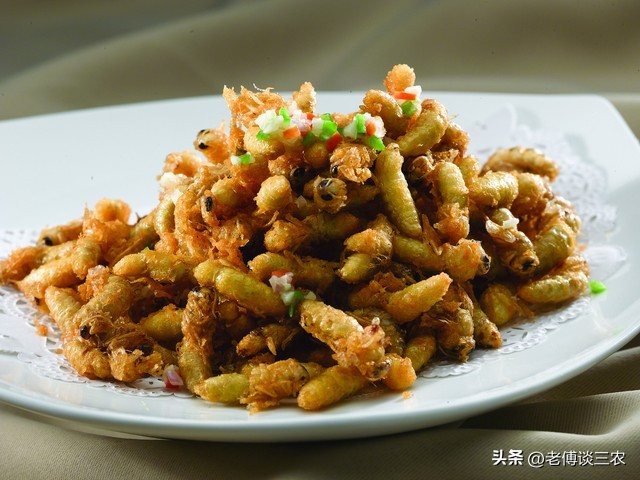 胡蜂人工养殖技术全套教程,农村00后小伙创业养殖胡蜂