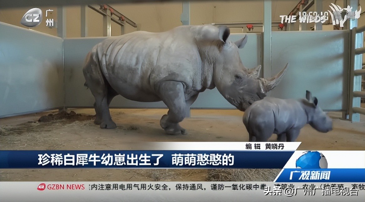 广视新闻回放,广视新闻同步直播