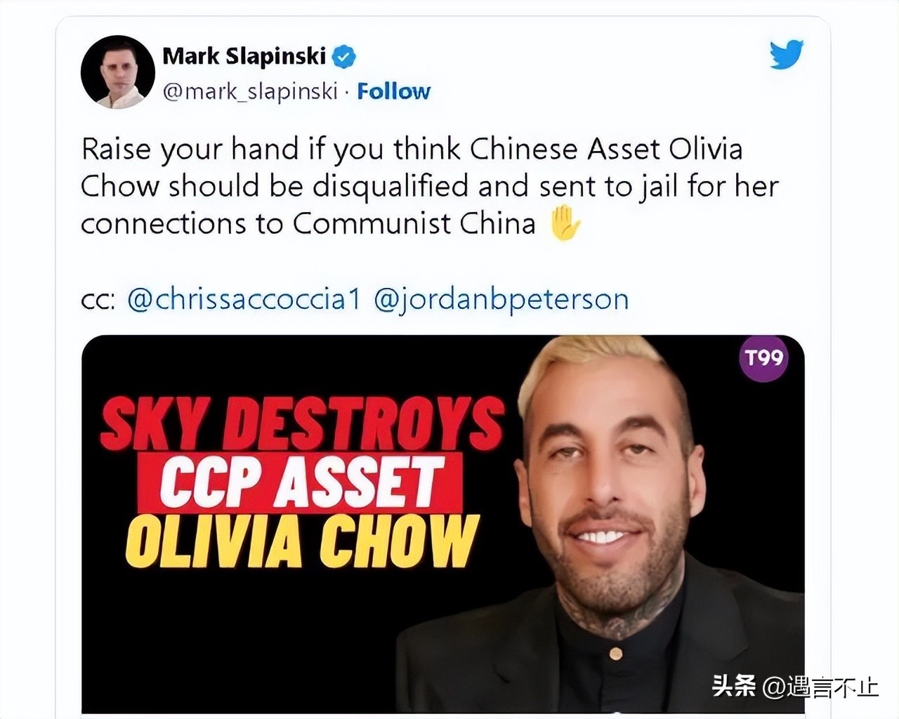 如何成为市长,美国波士顿新华裔女市长