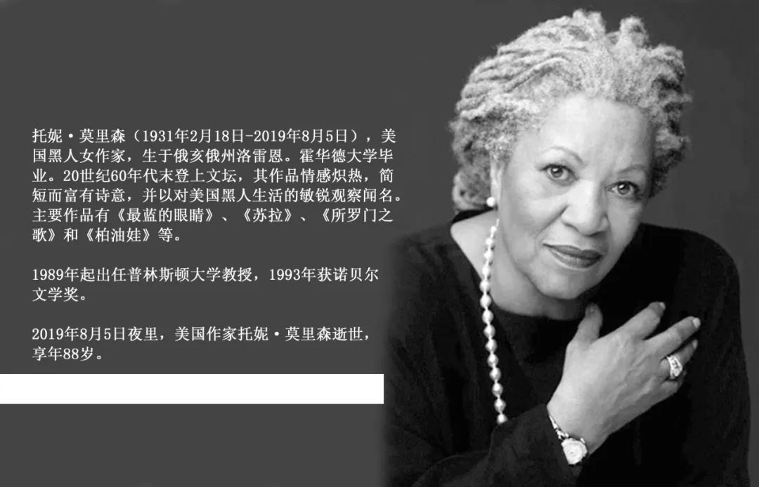 获得诺贝尔文学奖的作者和作品,诺贝尔文学奖作家作品总结