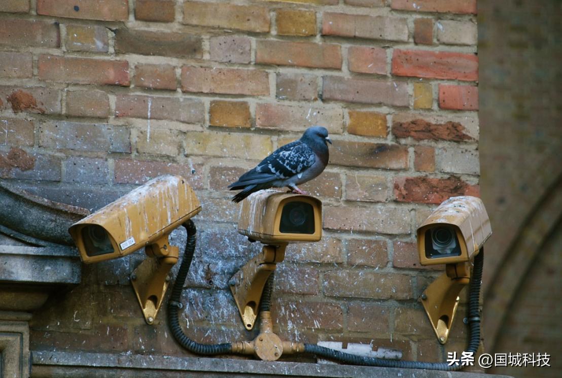 明星整形那些事,明星整形的真实视频