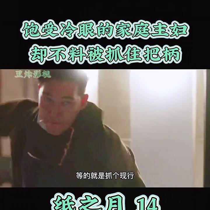 家庭主妇的反击完整视频,家庭主妇面临道德困境电视剧