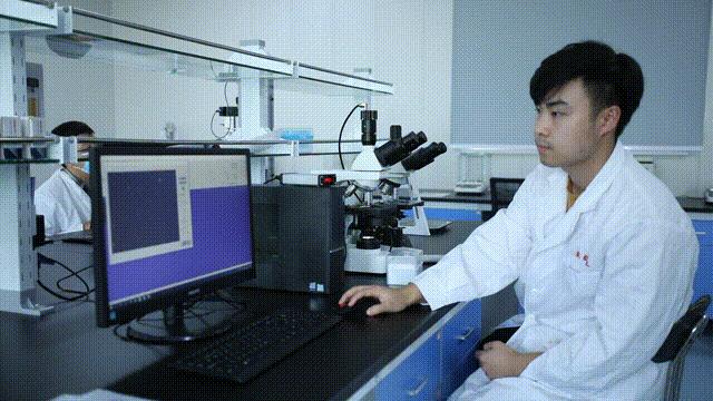 智慧赋能丨种羊场里的“科技范儿”