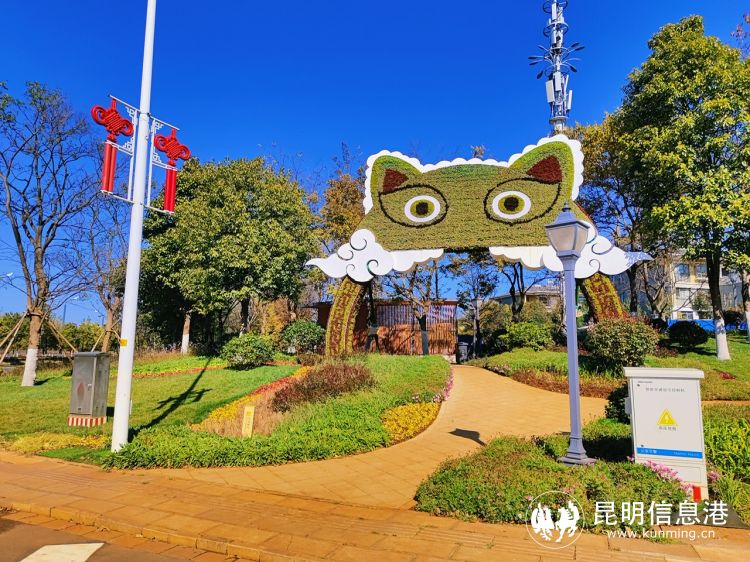 昆明网红打卡地教场中路蓝花路,昆明网红打卡地小花形环形天桥