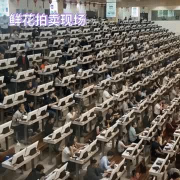 云南人考上清华北大,云南逆袭崛起