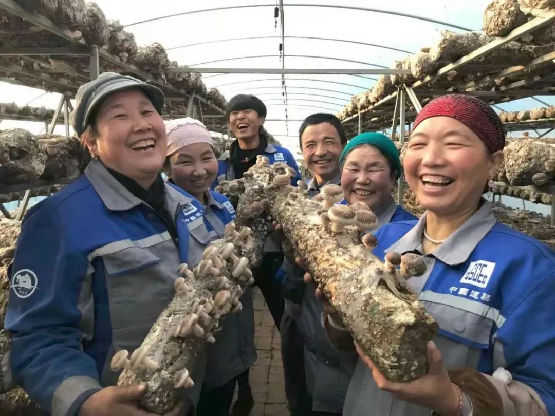 中建二局四大亮点亮相,中建二局集团建设发展有限公司