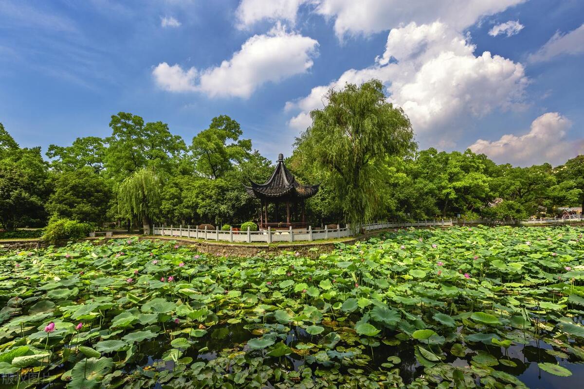 南京0门票逛景点攻略,南京旅游免费的必去的景点