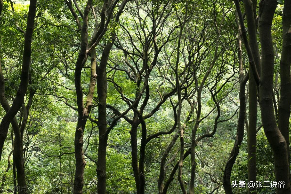 5月2日是离日和废日，老话“离日不娶亲，废日不嫁女”：啥说法