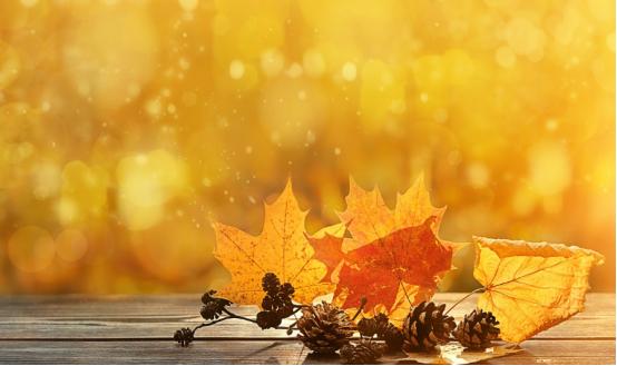 湿寒体质喝什么茶秋天喝好,秋天干燥喝六大类茶哪个好