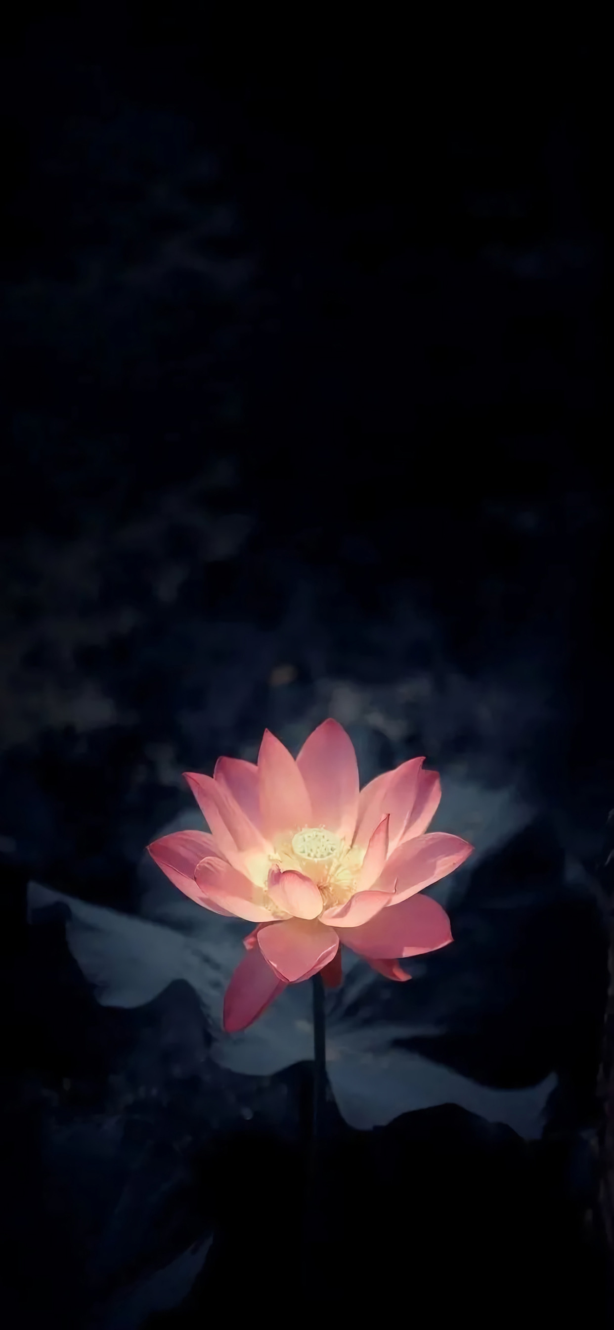 超好看的黑色系壁纸精选八张,又美又飒的黑色系壁纸