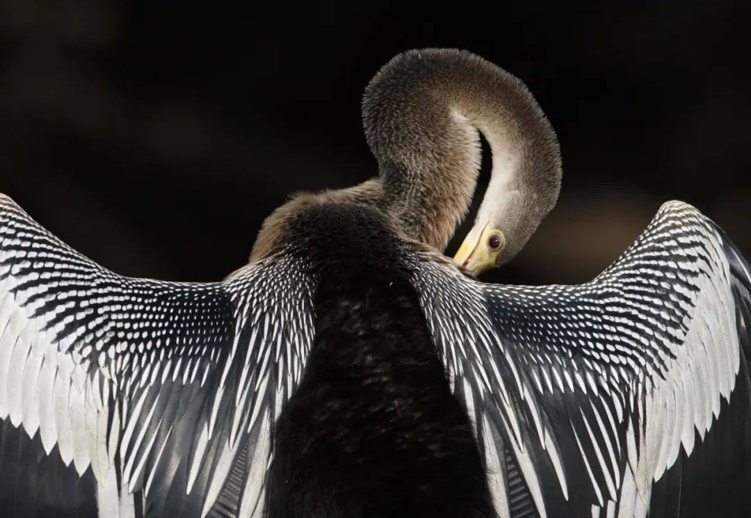 中国第18届国际摄影展入围作品,2021中国摄影艺术展获奖作品