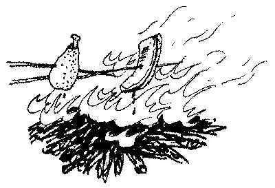 炙表示什么象形字,这个炙字怎么读