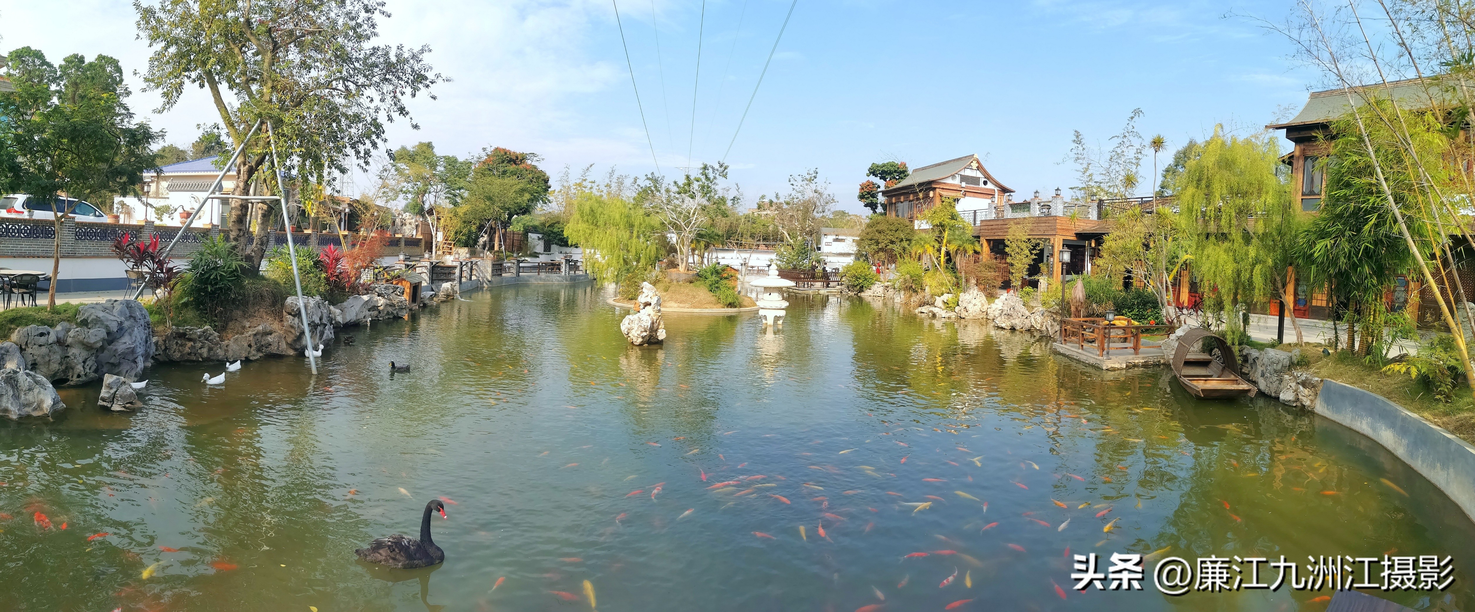 最高端的盆景展,一场惊艳的盆景展