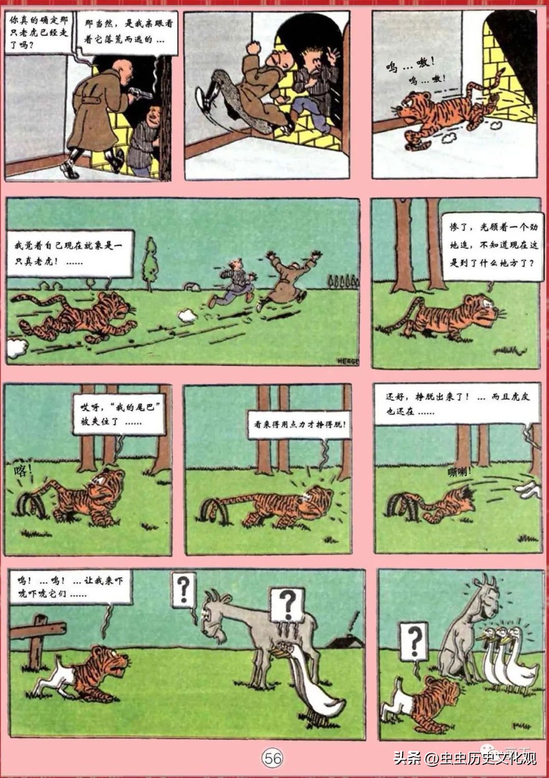 丁丁历险记的丁丁是真的吗,丁丁历险记的丁丁是哪国的