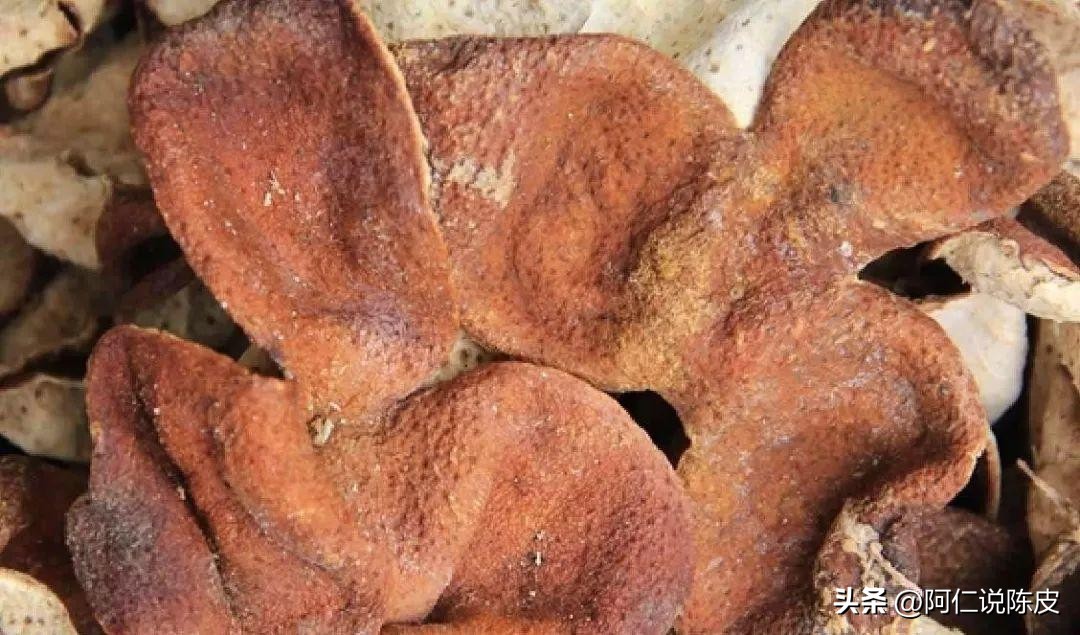 新会陈皮的真相,新会陈皮辨别真假