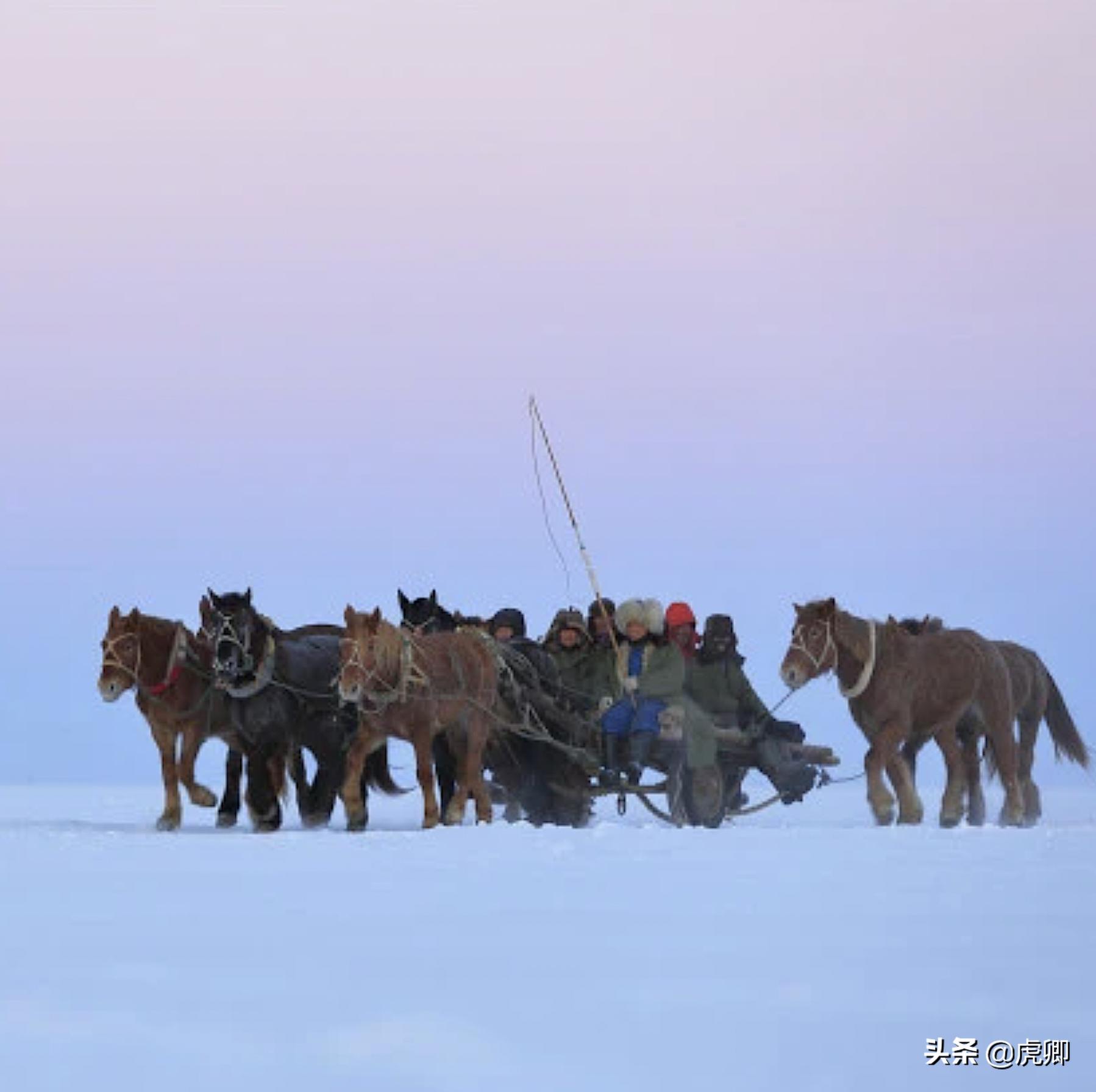 天价鱼的秘密：300万一条38斤的鱼，查干湖胖头鱼曾是帝王特供？