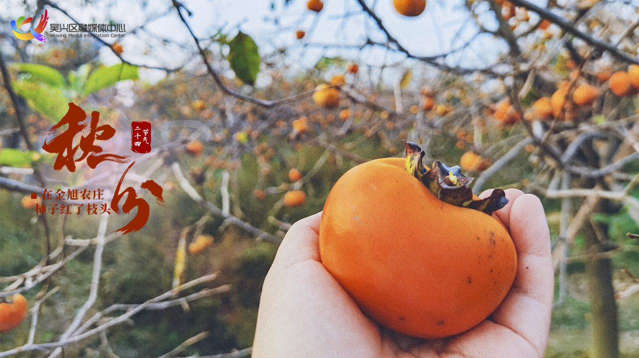 今日秋分|平分秋色，共享收获~