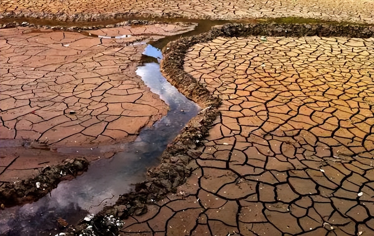 鐜板湪鍏紬鍙疯繕鏈夊笇鏈涘悧,鍏紬鍙蜂細涓嶄細鎴愪负涓嬩釜澶╂动