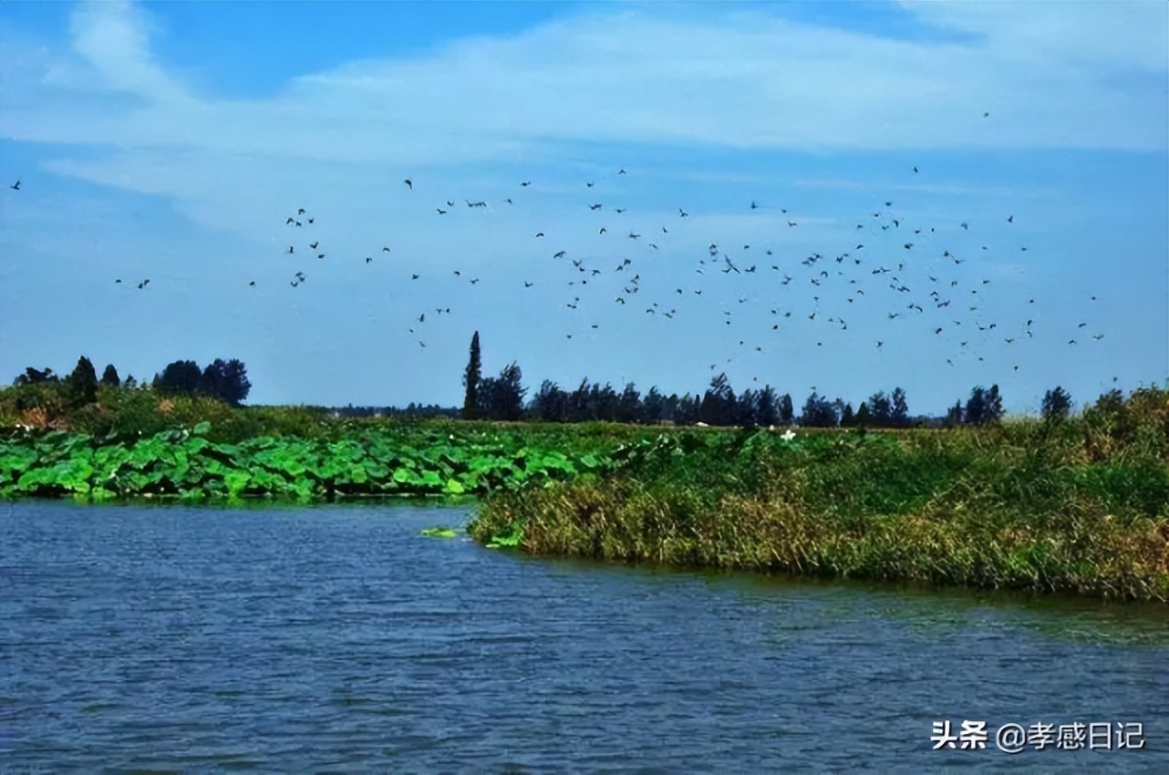 总投资一百亿元湿地公园,湿地公园投资60亿