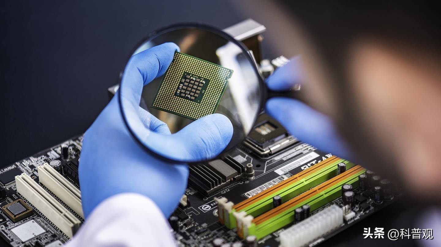 日本垄断中国市场百分之多少,打破西兰花种子垄断的原因