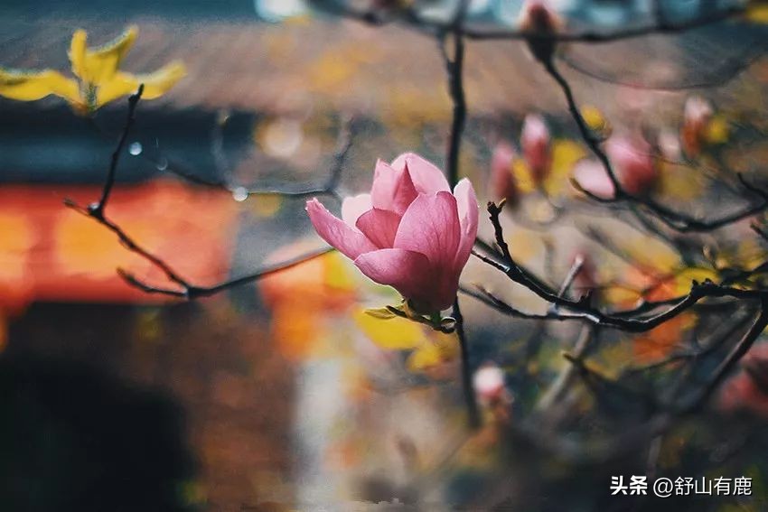 总是喜欢炫耀别人的人,老是喜欢显摆的人