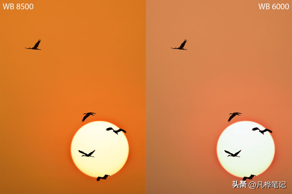 照片怎么校准皮肤白平衡,后期照片白平衡